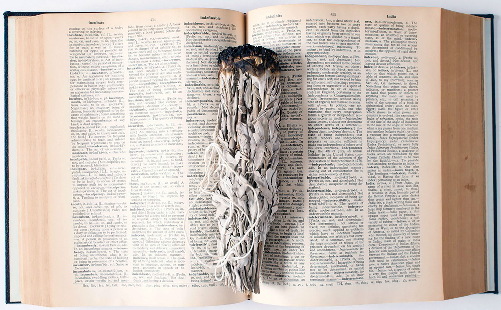 Smudging the English Dictionary by Manuel Axel Strain