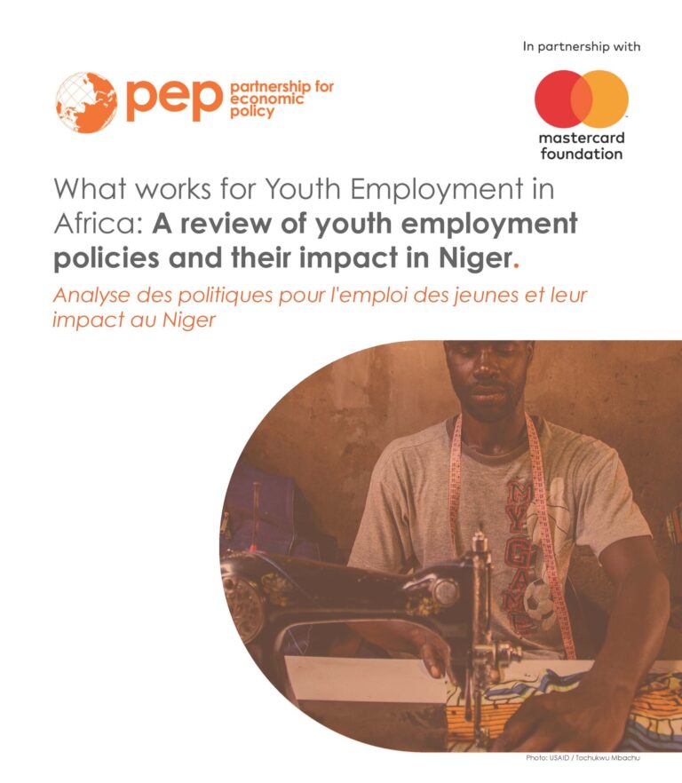 Header image for Youth Employment Policies Review in Niger