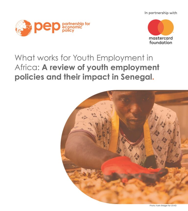 Header image for Youth Employment Policies Review in Senegal.